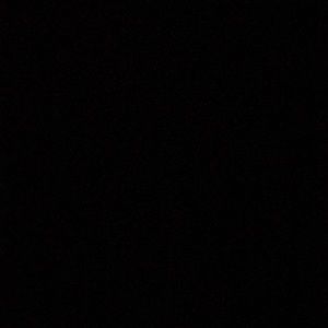 Meet your Posher, Zoey